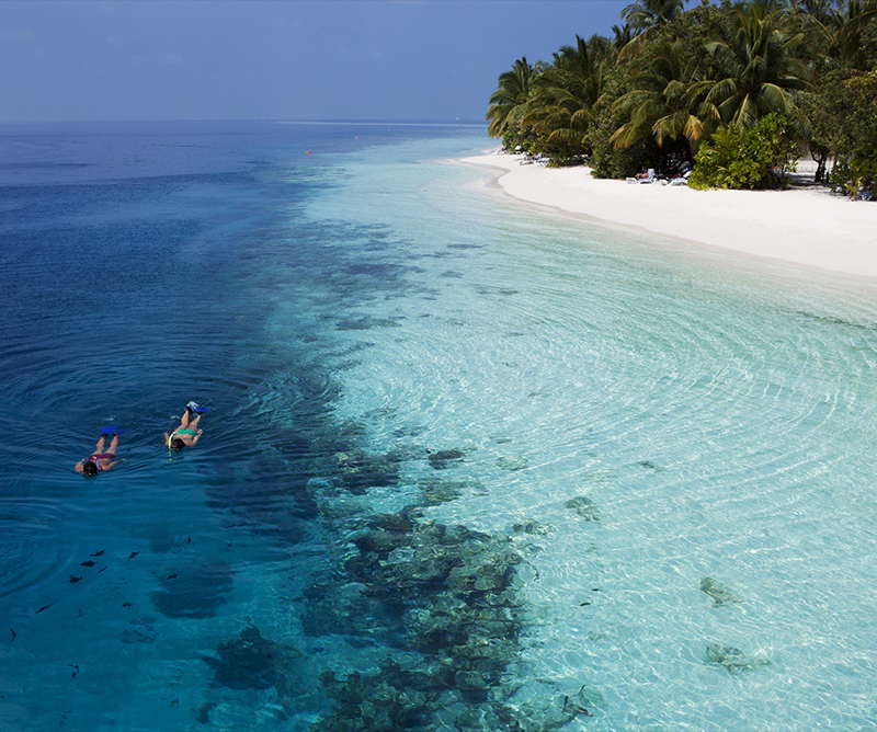 Snorkel en Vilamendhoo, Maldivas