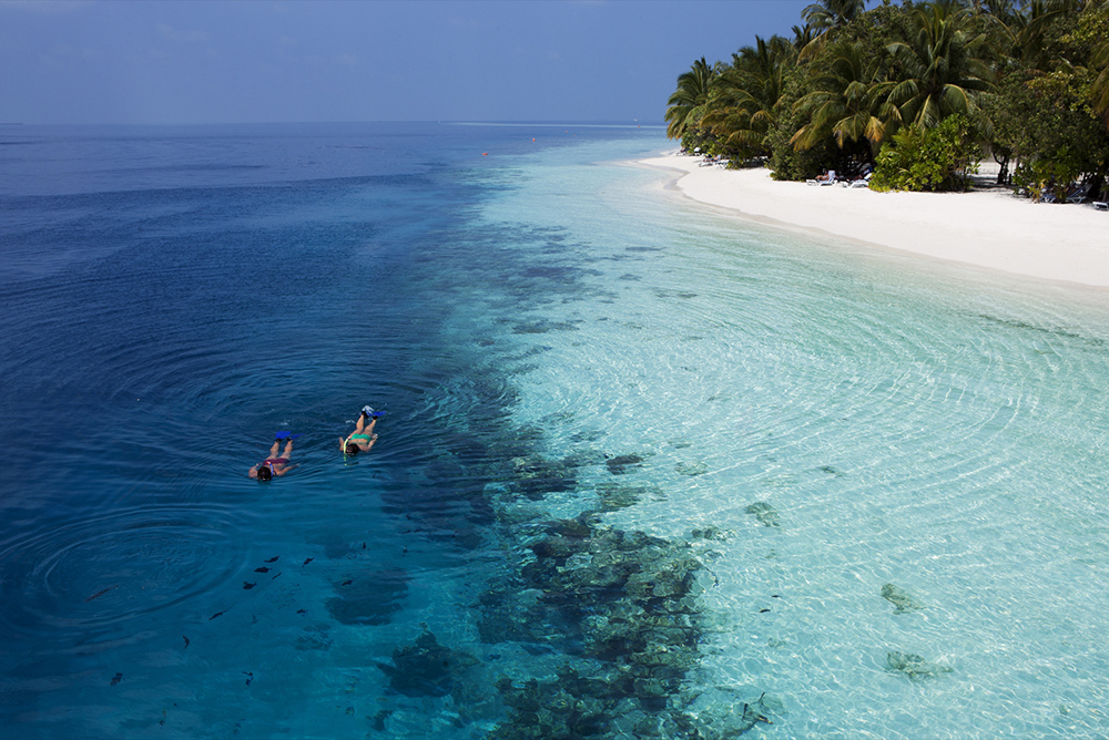 Snorkel en Vilamendhoo, Maldivas